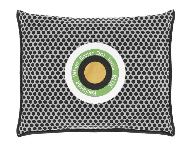 Sausintuvas - drėgmės sugėriklis automobiliui