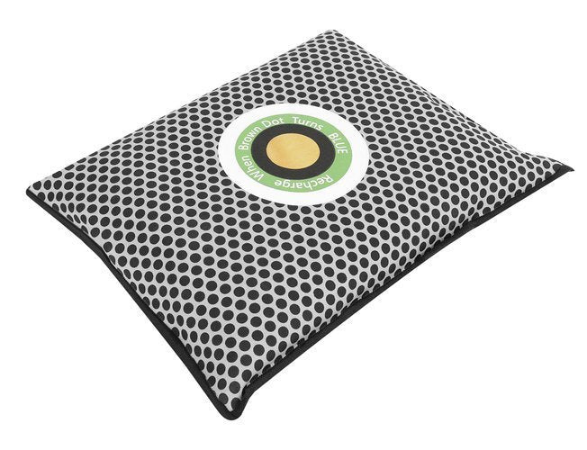 Sausintuvas - drėgmės sugėriklis automobiliui