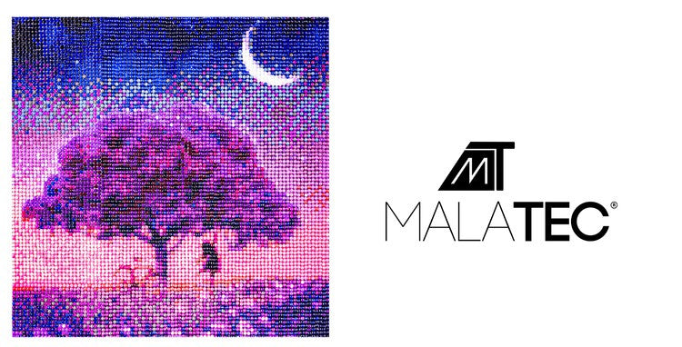 Deimantų siuvinėjimo mozaika H16137