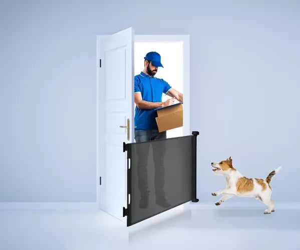 Ruhhy 19380 Durų saugos vartai