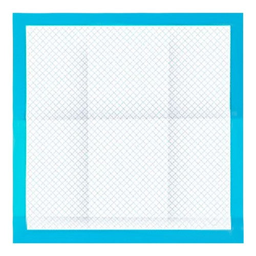 Higieninis įklotas 60x60cm 100 vnt. Purlovas 21601