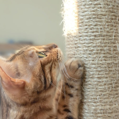 Katės medis 71cm pilkas Purlov 21712