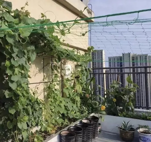 Tinklas - augalų atrama 2x20m Gardlov 23980