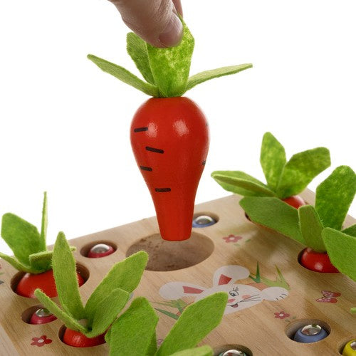 Medinis žaidimas - 2in1 Kruzzel 24745