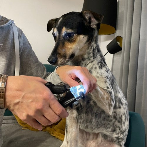 Purlov 24739 šunų/katių nagų kirpimo mašinėlė