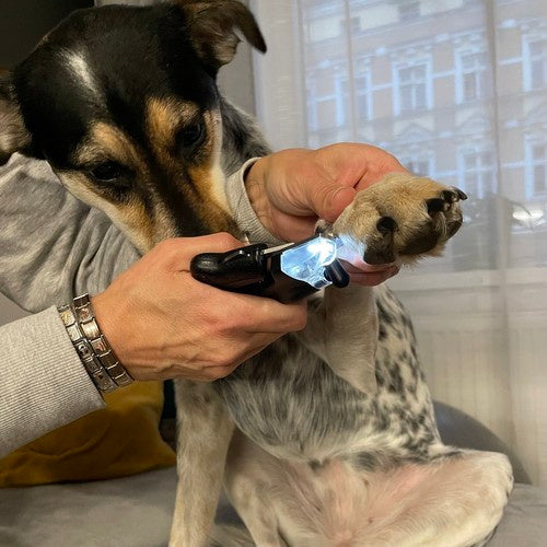 Purlov 24739 šunų/katių nagų kirpimo mašinėlė