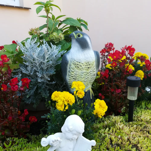 Paukščių baidyklė – sakalas 23421