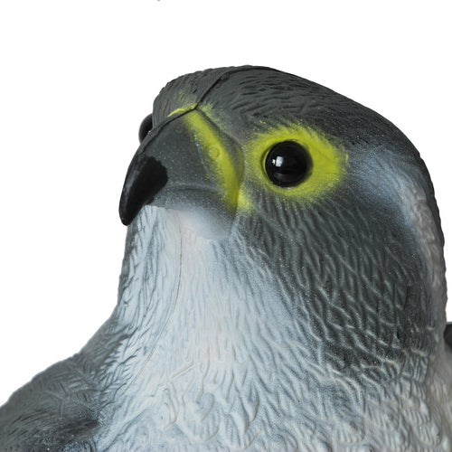 Paukščių baidyklė – sakalas 23421