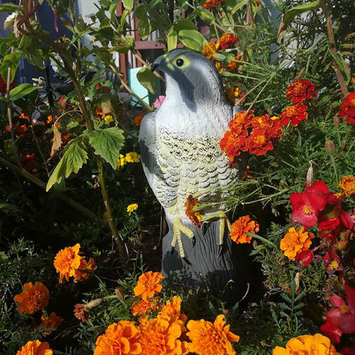 Paukščių baidyklė – sakalas 23421