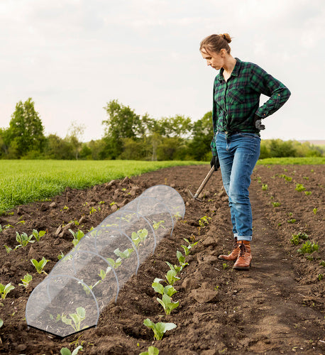 Sodo šiltnamis – Gardlovo tunelis 25382