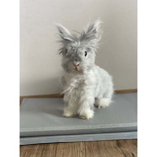 Aušinimo kilimėlis gyvūnams 90x50cm Purlov 25531