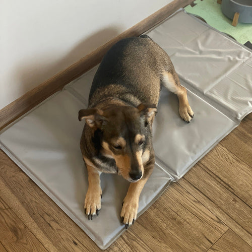 Aušinimo kilimėlis gyvūnams 90x50cm Purlov 25531