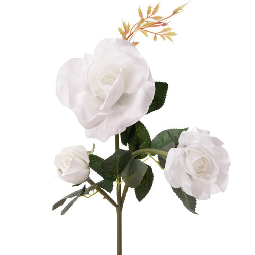 Saulės energija varomos lempos rozetė Gardlov 25282