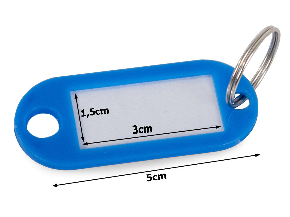 Raktų pakabukas 100 vnt.