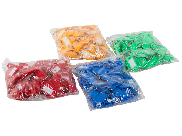 Raktų pakabukas 100 vnt.