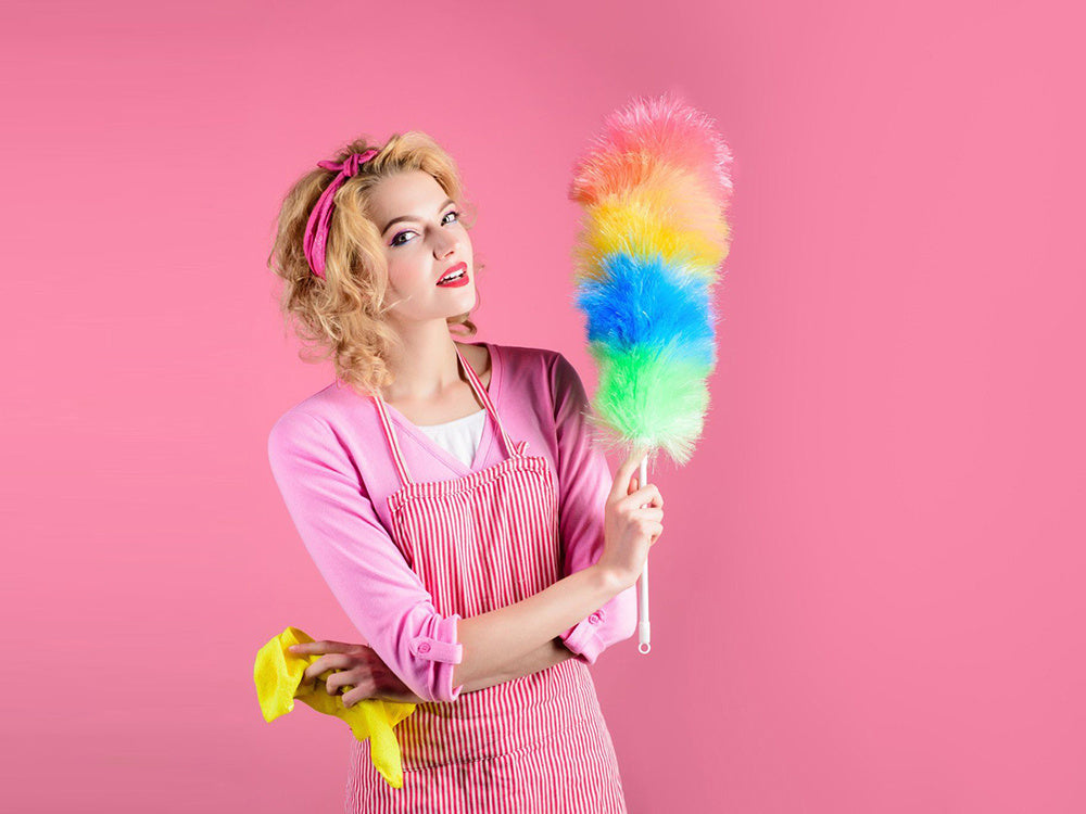 Teleskopinis dulkių šepetys šluota