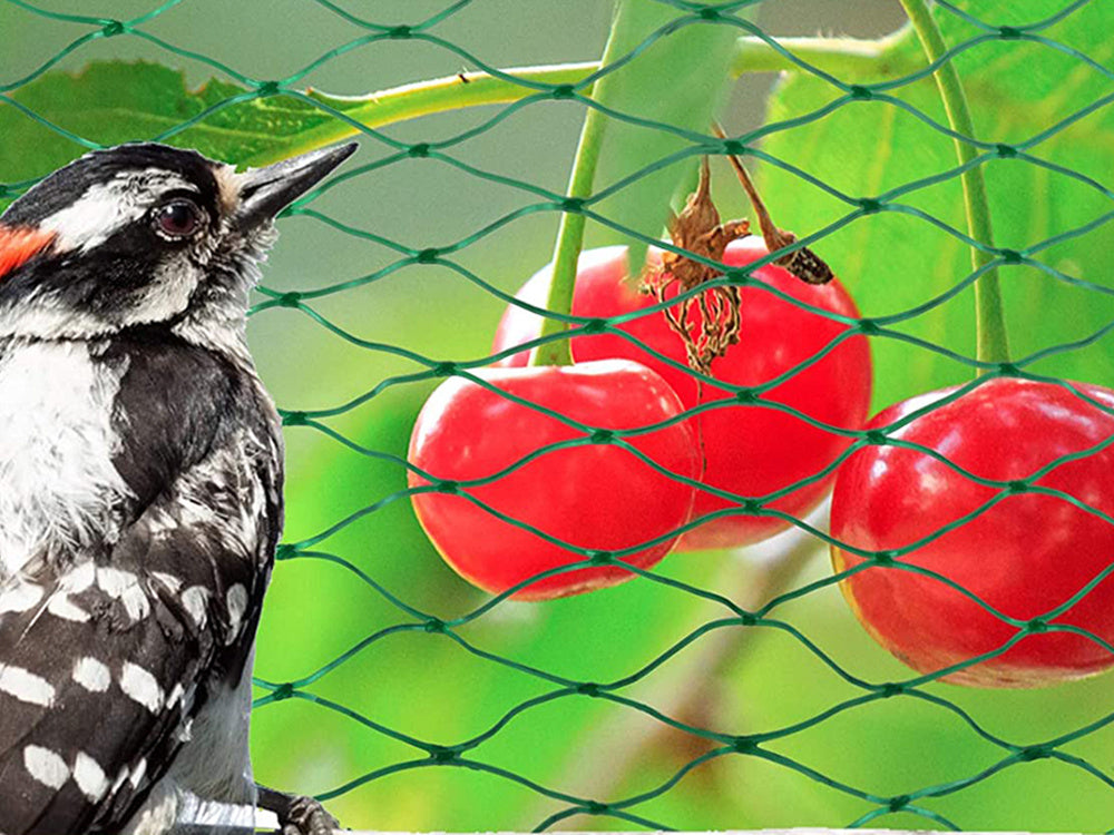 Paukščių tinkleliai paukščių tinkleliai stiprūs 4x6m