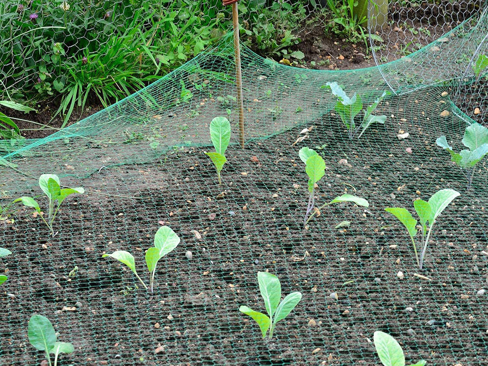 Paukščių tinkleliai paukščių tinkleliai stiprūs 4x6m