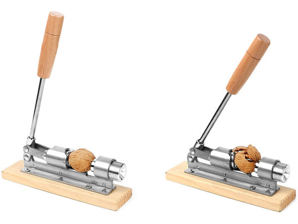 Riešutų krautuvėlė ant tvirto plieninio pagrindo