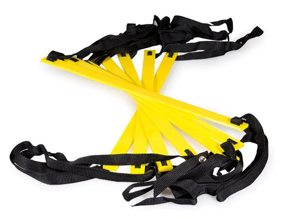 Mokymo kopėčių koordinavimas 3m