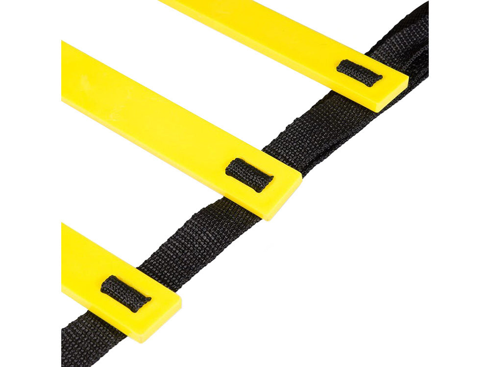 Mokymo kopėčių koordinavimas 3m