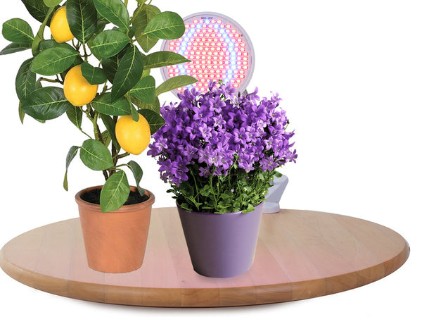 Skydelis 200 vadovaujama lempa augantiems augalams 20w augimo