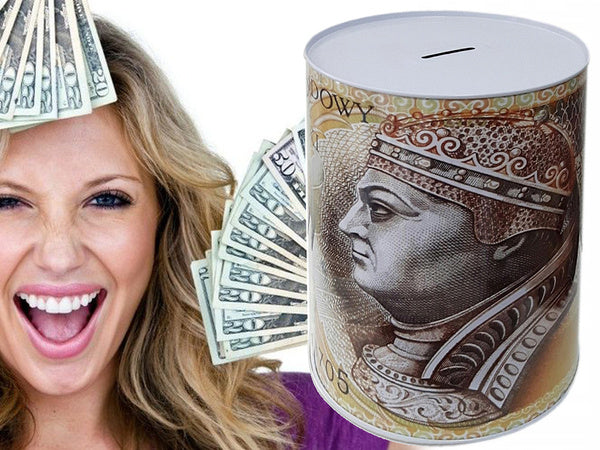 Metalinė pinigų dėžutė xl didelė
