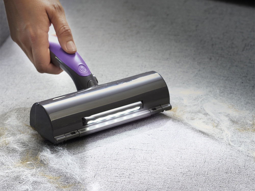 Šepetys volelis šuns plaukams valyti