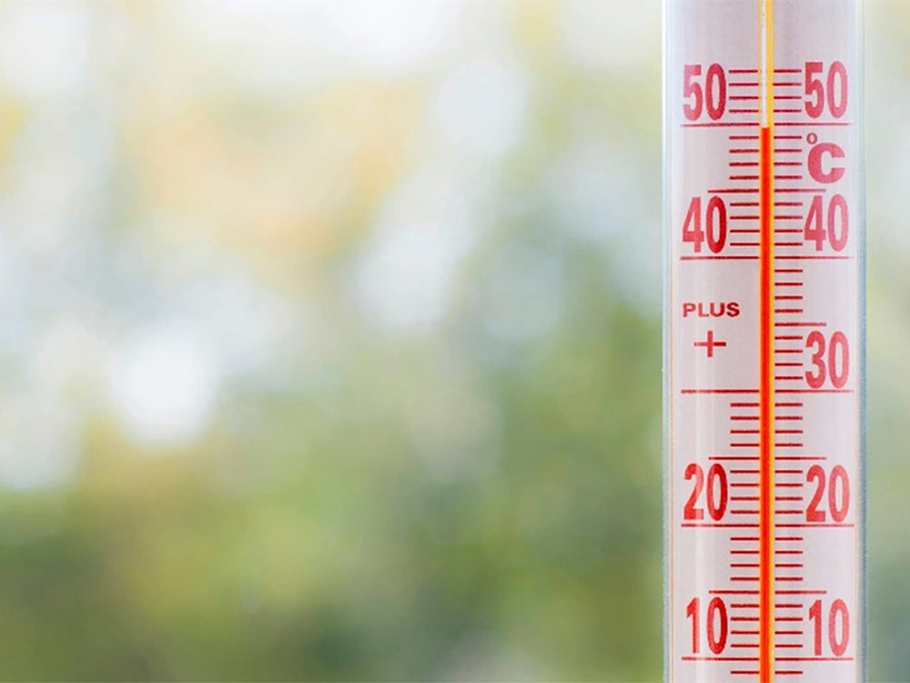 Lauko lango sieninis termometras ilgas