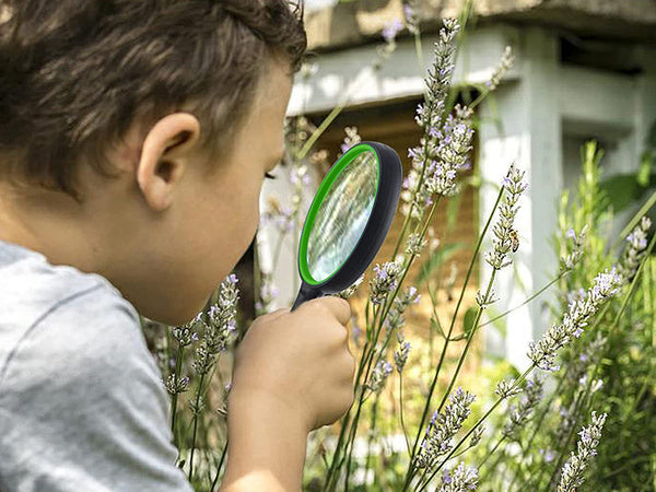Klasikinis paviršinis stiklas 75 mm