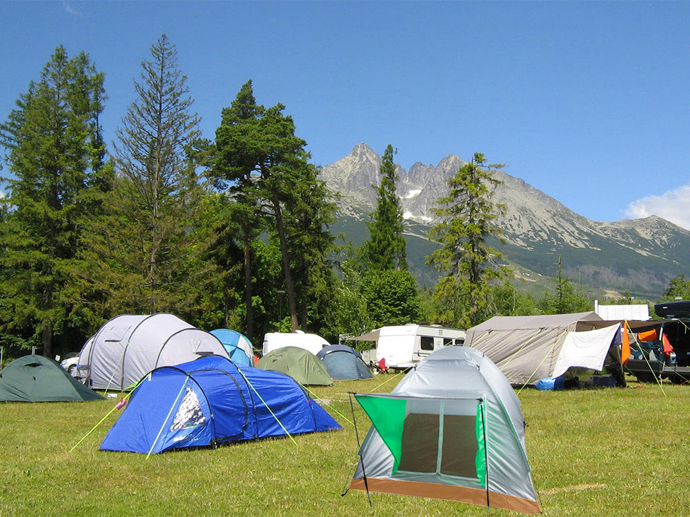 Turistinė palapinė su baldakimu iglo 4 asmenims