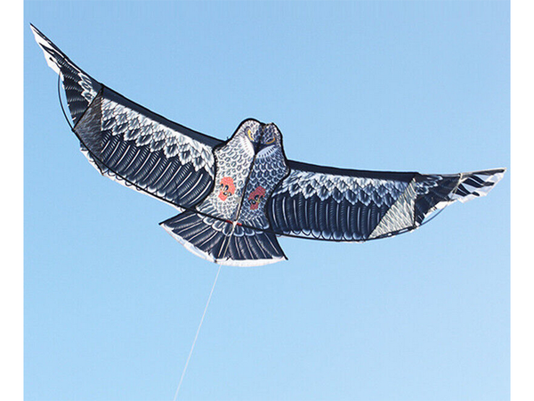 Aitvaras "bird eagle" 2 m paukščių atbaidymo priemonė su virvele