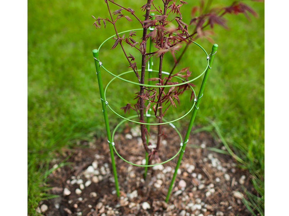 Gėlių žiedas augalų atrama apvalus