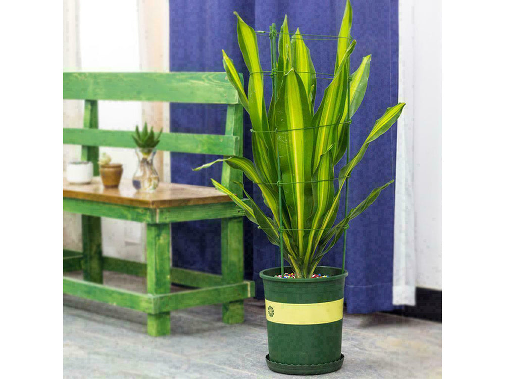 Gėlių žiedas augalų atrama apvalus