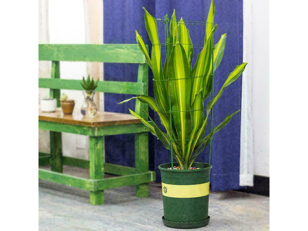 Gėlių žiedas augalų atrama apvalus