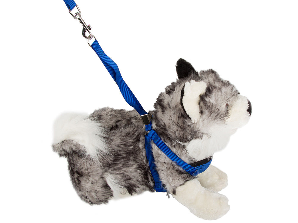 Pavadėlis su petnešomis, lengvas, skirtas šunims, katėms, stiprus