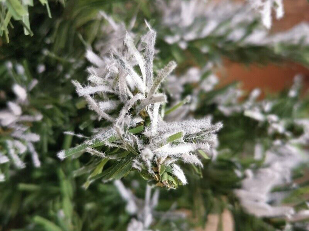 Dirbtinė kalėdų eglutė sniegas mažas 50cm stalo apdaila