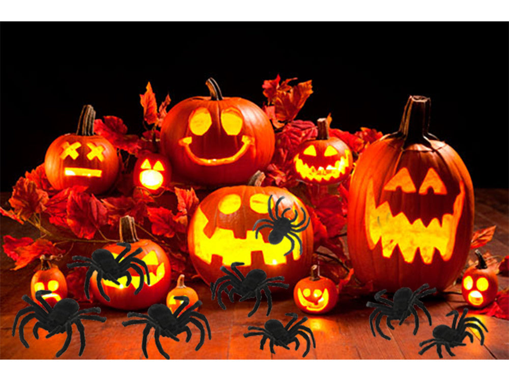 Helovino voras 4 vnt. Didelė dekoracija baisi