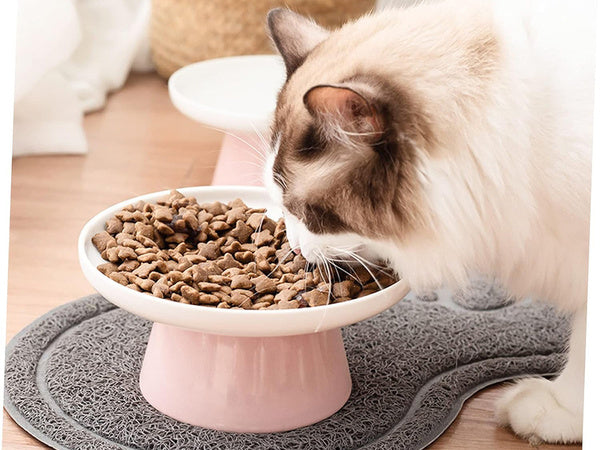 Šuns dubenėlio padas katės dubenėlis vandeniui atsparus neslystantis kilimėlis