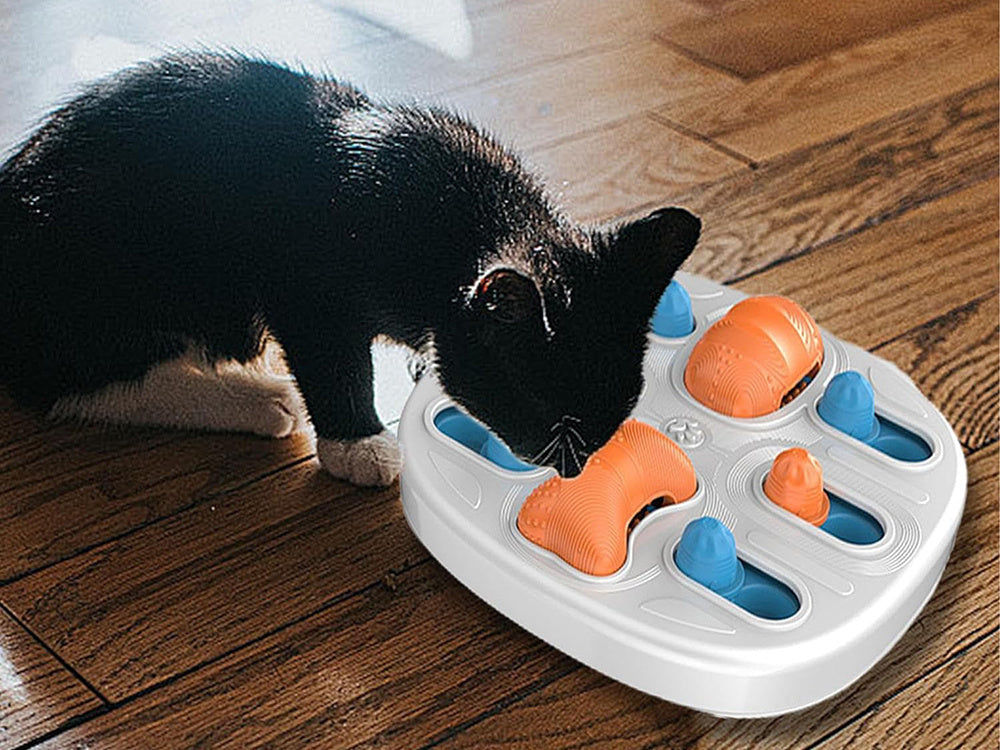 Edukacinis šunų žaislas loginis žaidimas su skanėstais uoslės kramtomasis žaislas