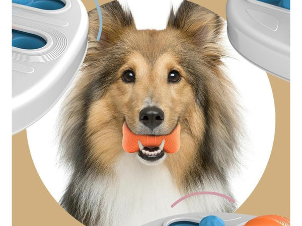 Edukacinis šunų žaislas loginis žaidimas su skanėstais uoslės kramtomasis žaislas