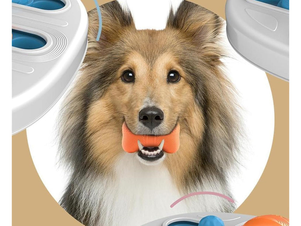 Edukacinis šunų žaislas loginis žaidimas su skanėstais uoslės kramtomasis žaislas