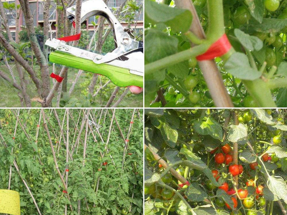 Augalų segtukas sodo siaurapjūklis pomidorų vynmedžių rišiklis