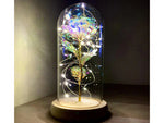 Amžina rožė stiklinėje dovanų led šviečianti dėžutė stiklinis medinis pagrindas.