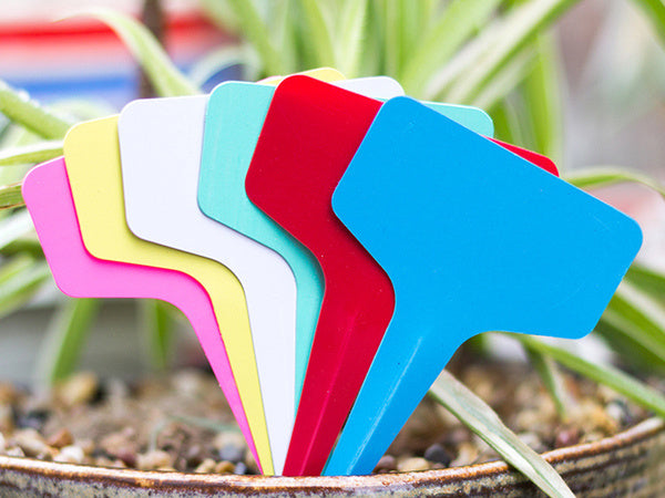 Rūgštų aprašymo ženkleliai sėklų charakteristika 50vnt.