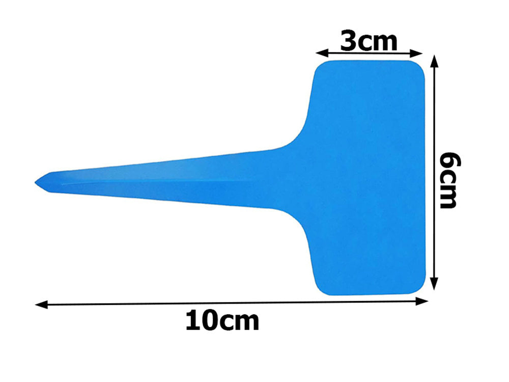 Rūgštų aprašymo ženkleliai sėklų charakteristika 50vnt.