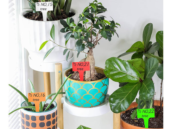 Rūgštų aprašymo ženkleliai sėklų charakteristika 50vnt.