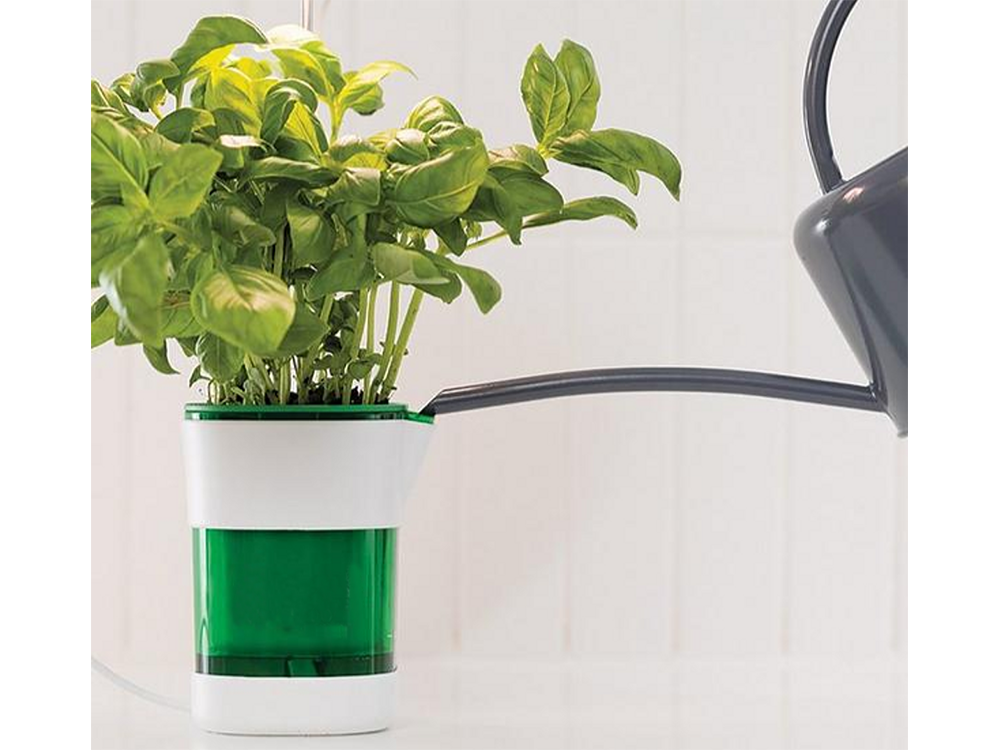 Augalų augimo skydas lempa 6 vadovaujama 4 uv savarankiškai laistymo puodą