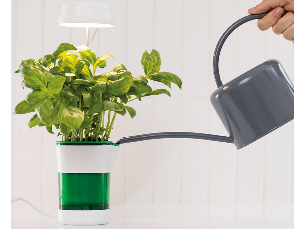 Augalų augimo skydas lempa 6 vadovaujama 4 uv savarankiškai laistymo puodą