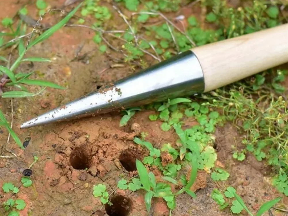 Sodinimo rinktuvas svogūnėliams sodinti sodo iešmelis medinė priemonė